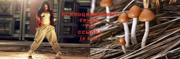 ешки Зеленокумск