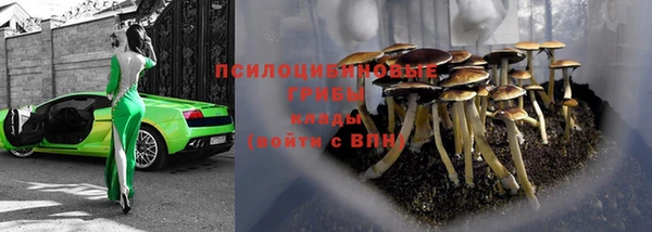 mdpv Зерноград