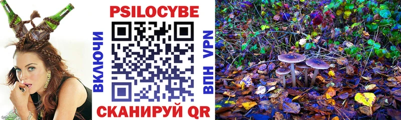Купить где  Тайга  Псилоцибиновые грибы Magic Shrooms 